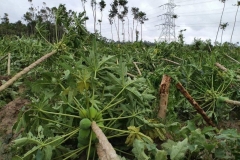 WhatsApp-Image-2020-05-b-at-12.44.07