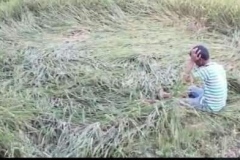 WhatsApp-Image-2020-06-12-at-20.00.44