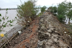 WhatsApp-Image-2020-06-12-at-20.01.11