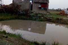 WhatsApp-Image-2020-06-12-at-20.01.20