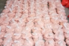 WhatsApp-Image-2020-06-12-at-20.01.21