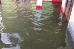 WhatsApp-Image-2020-06-12-at-20.01.30