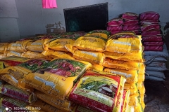 WhatsApp-Image-2020n-06-04-at-20.17.46