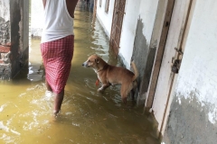 WhatsApp-Image-202n0-06-12-at-20.01.31